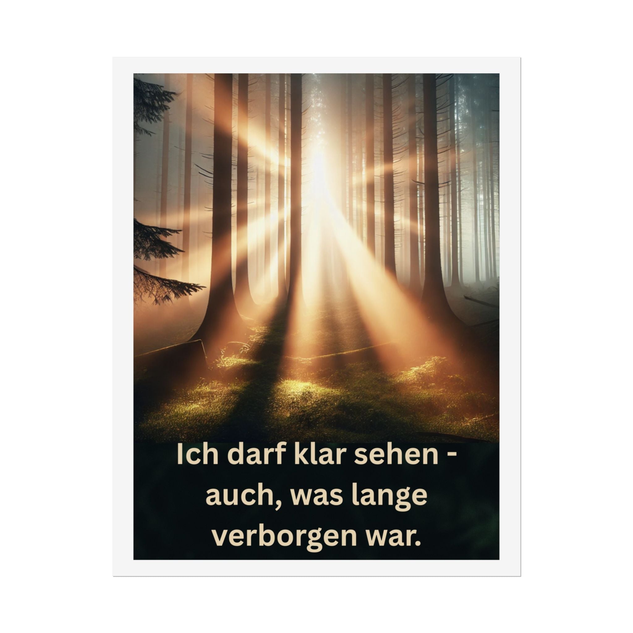 Poster Wand, Art.-Nr. W Bo-010