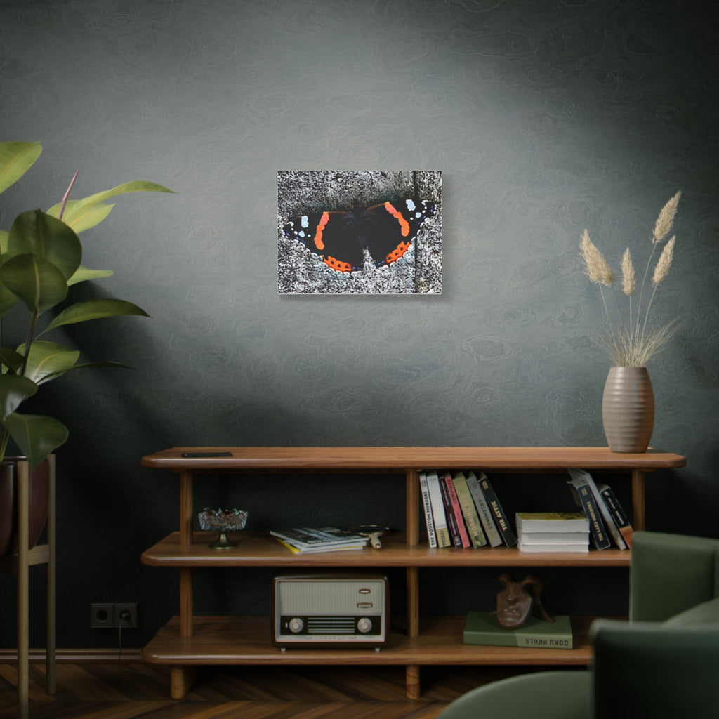 Wandbild Druck, Art.-Nr. T 00104 W