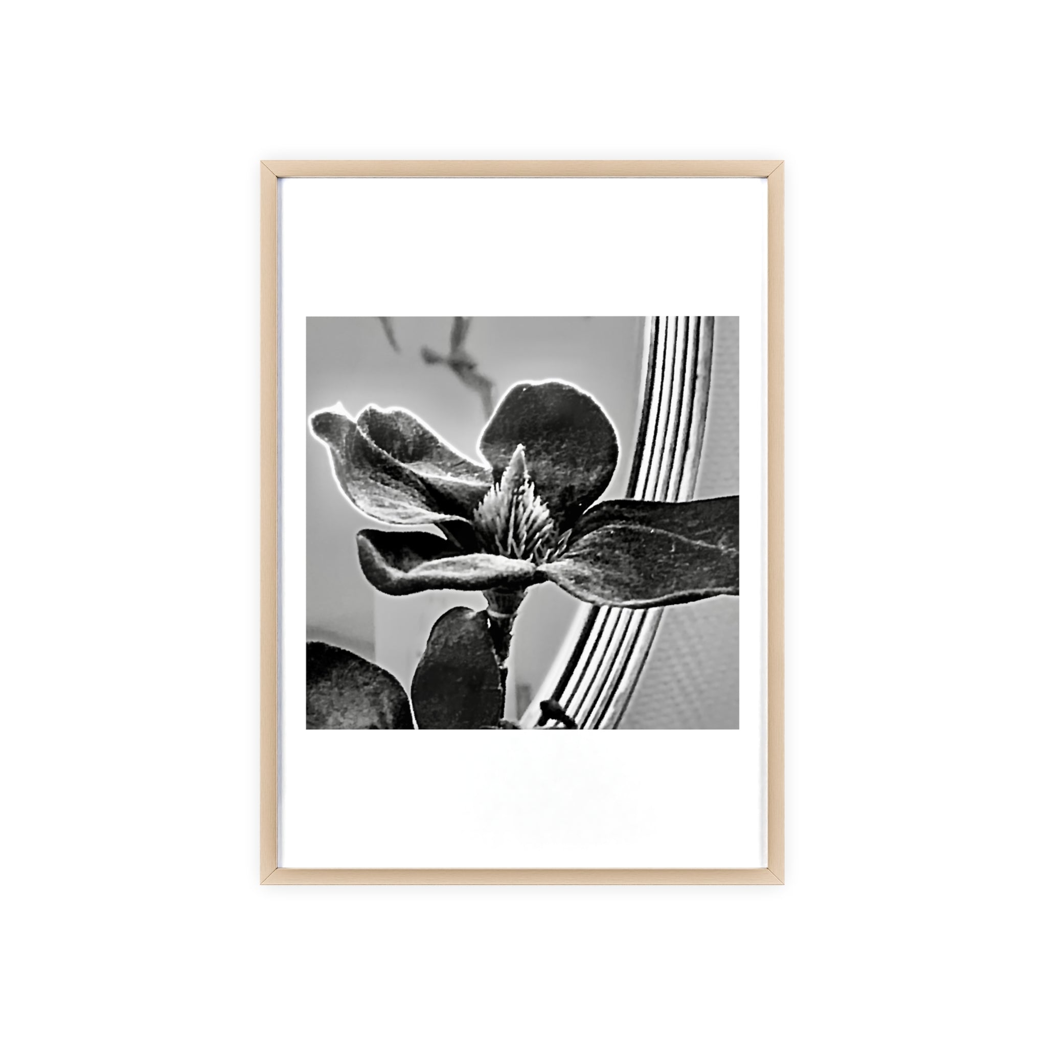 Poster mit Holzrahmen, Art.-Nr. AP 00113 P