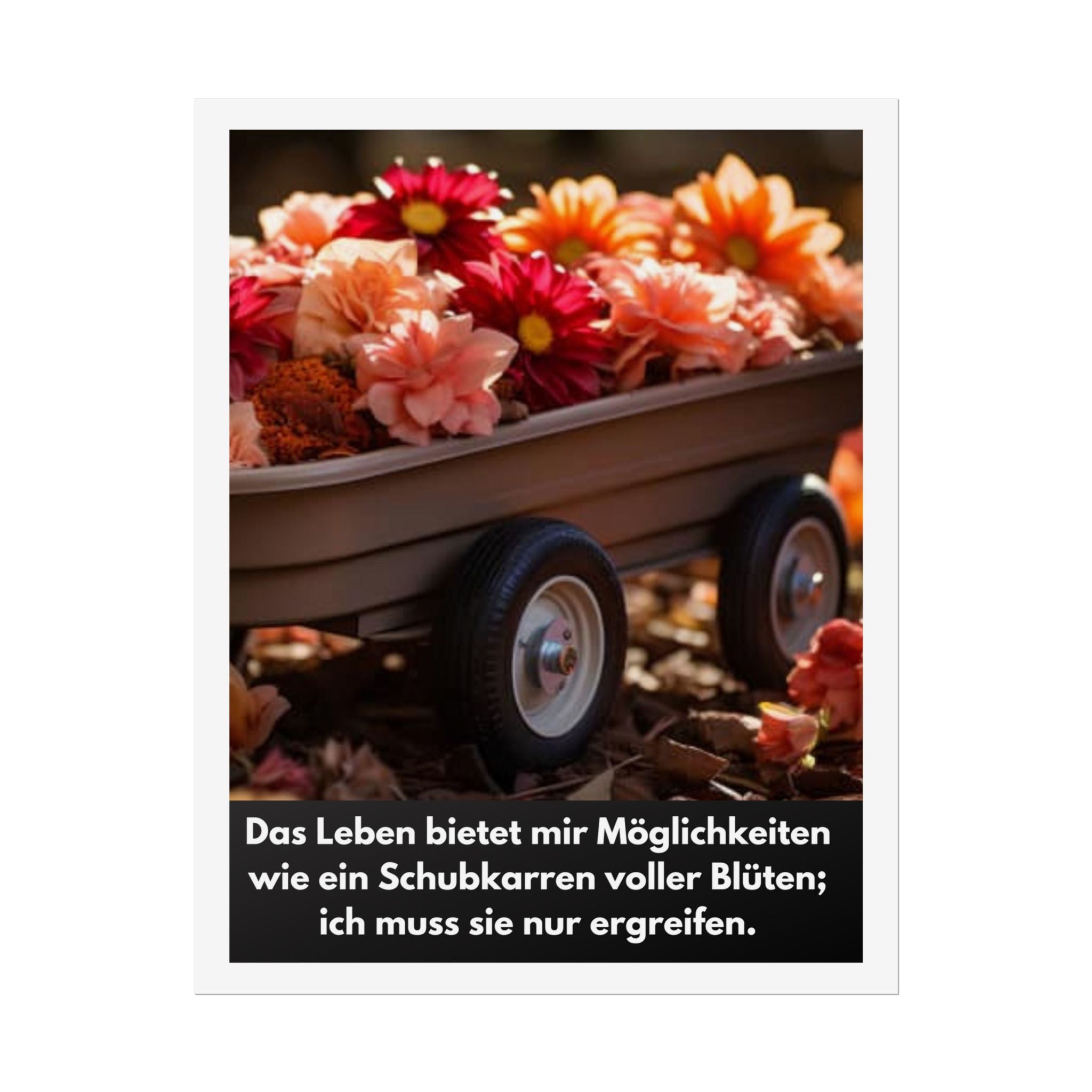 Poster Wand, Art.-Nr. W 002-2