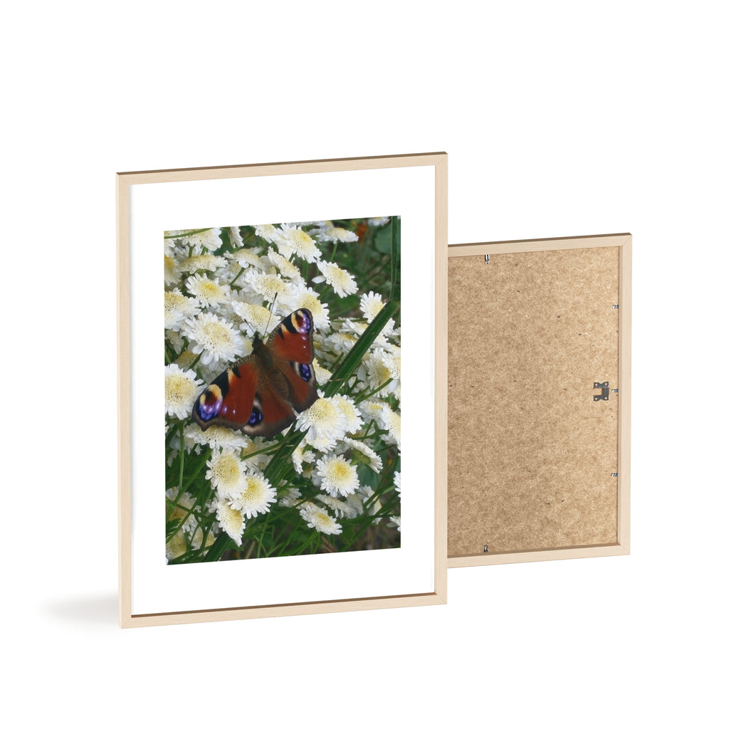 Posters with Wooden Frame