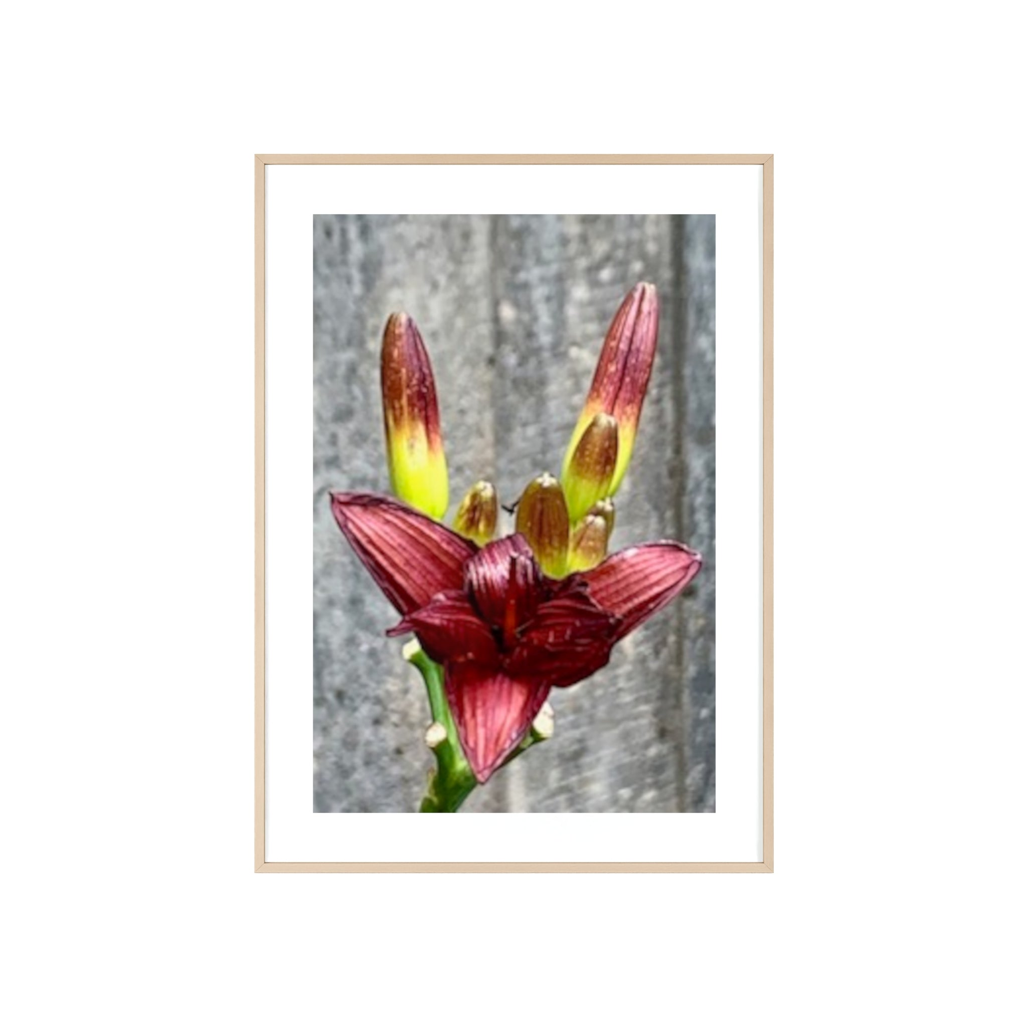 Poster mit Holzrahmen, Art.-Nr. NA 00132 P