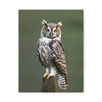 Wandbild Druck, Art.-Nr. T 00107 W