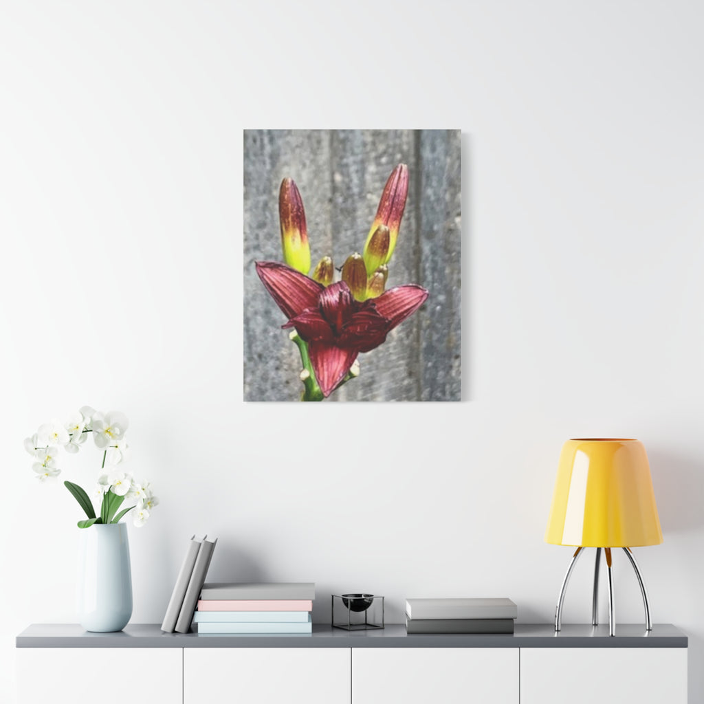 Wandbild Druck, Art.-Nr. NA 00132 W