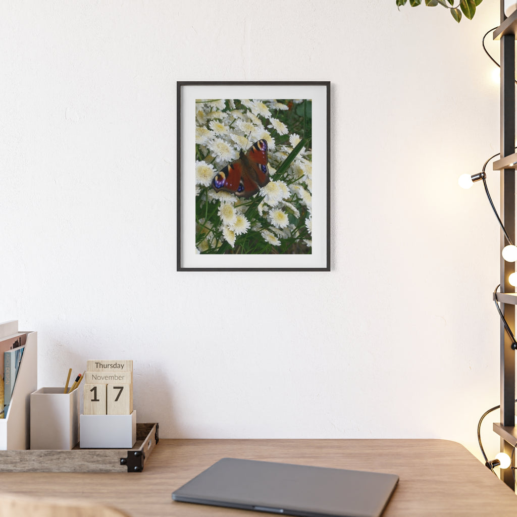 Posters with Wooden Frame