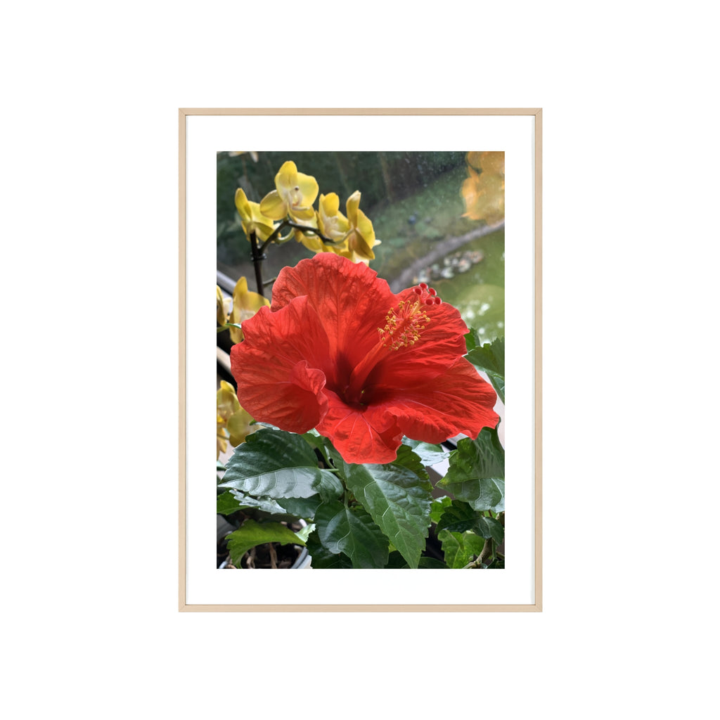 Poster mit Holzrahmen, Art.-Nr. NA 00107 P