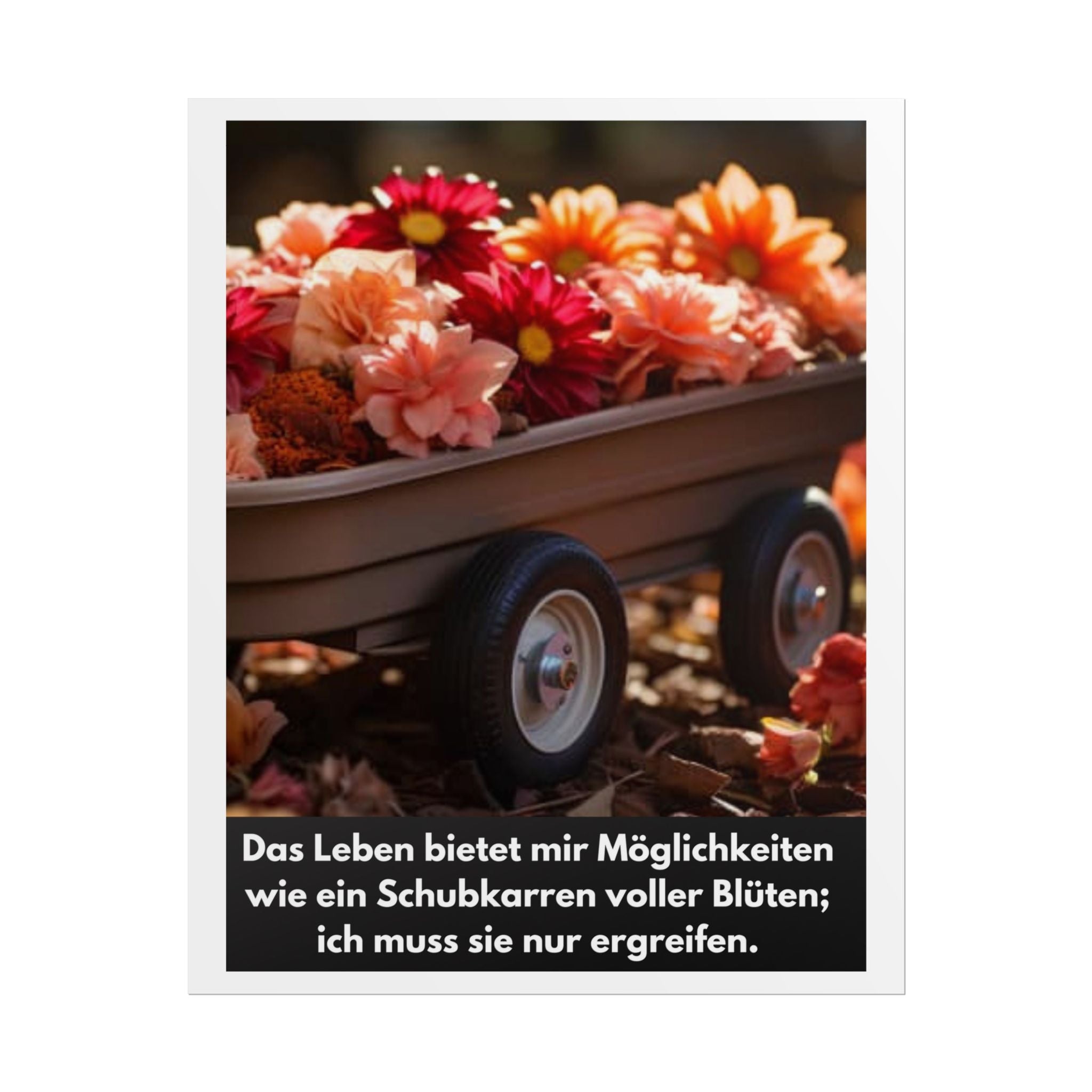 Poster klein, Art.-Nr. P 002-2