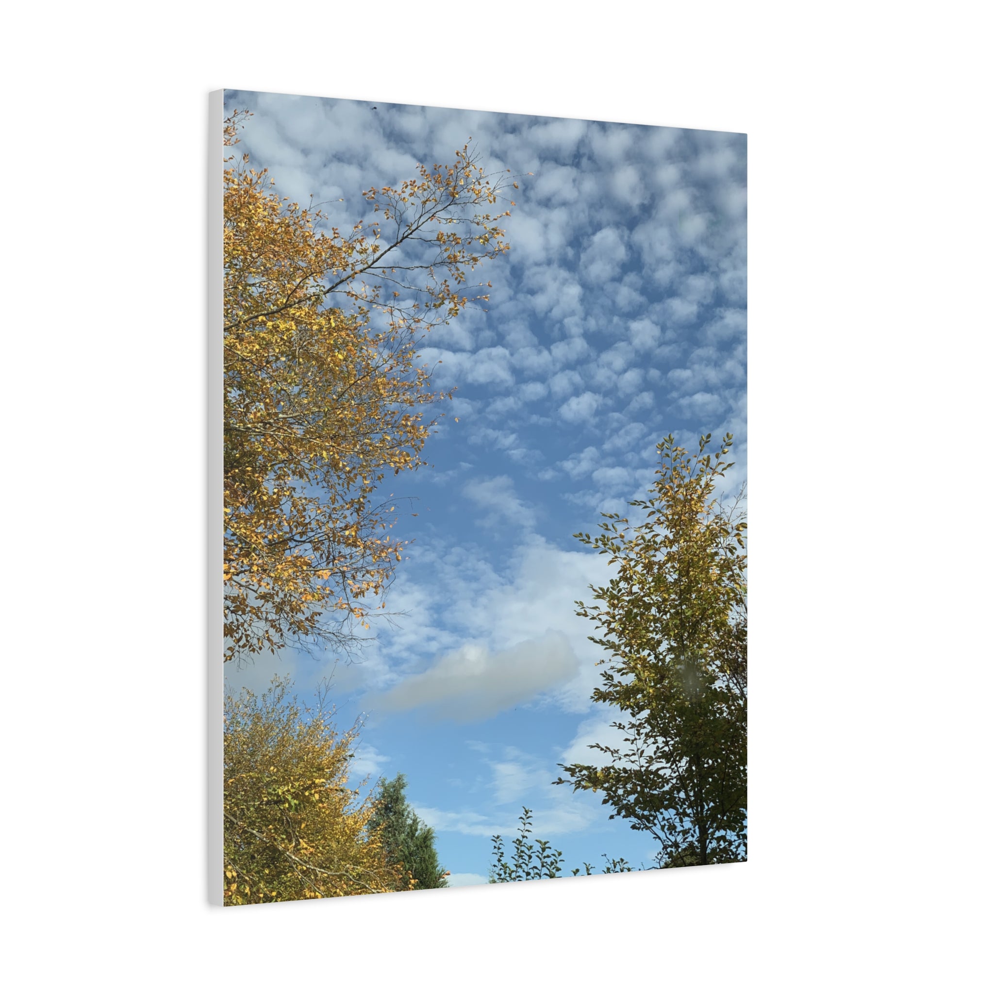 Wandbild Druck, Art.-Nr. NA 00119 W