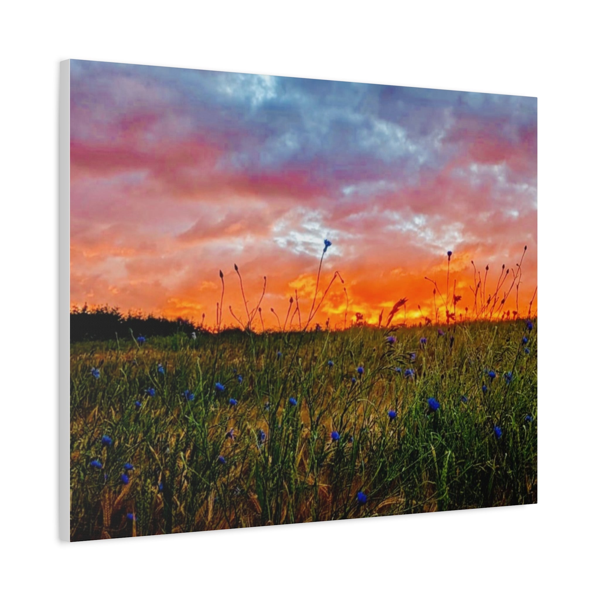 Wandbild Druck, Art.-Nr. NA 00139 W