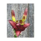 Wandbild Druck, Art.-Nr. NA 00132 W