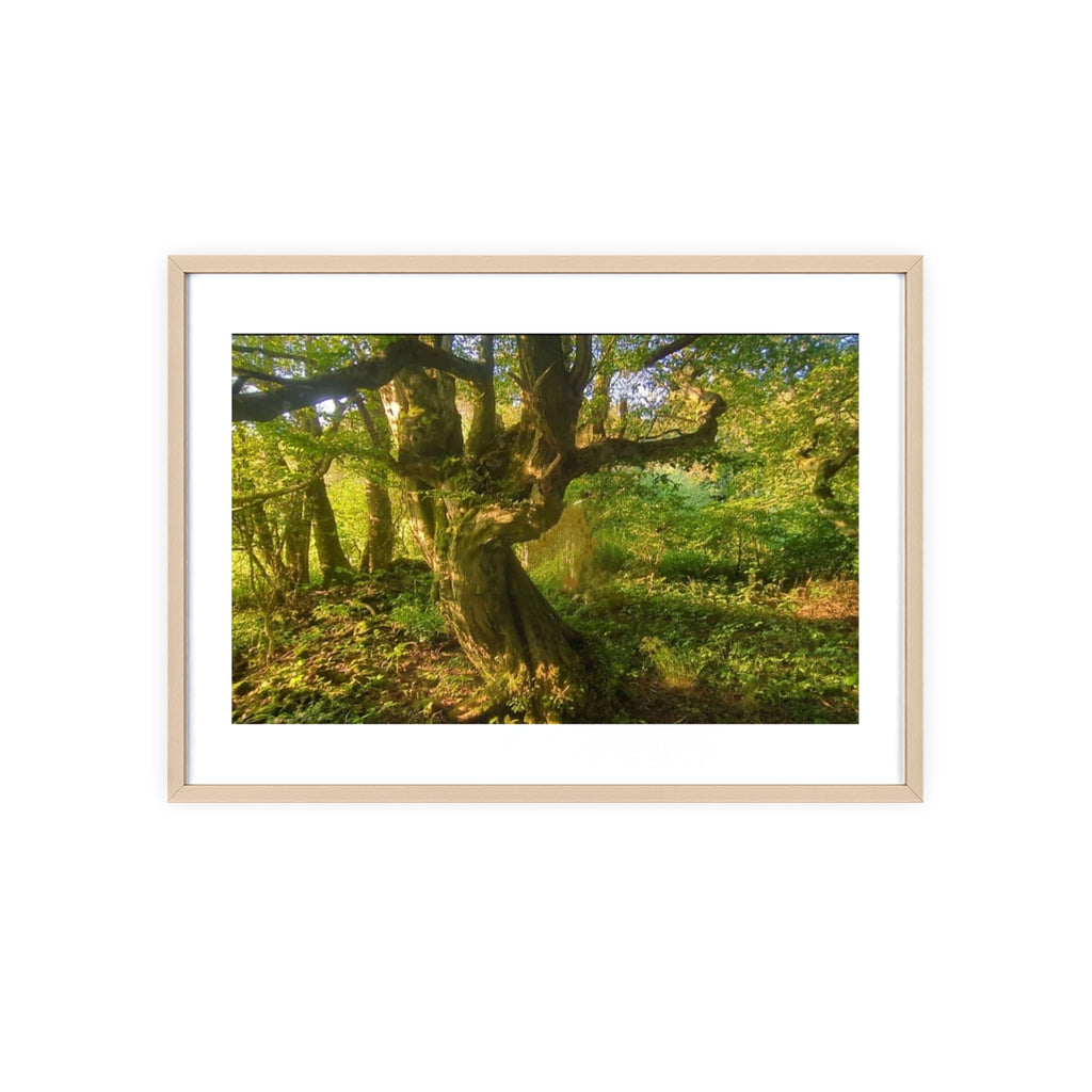 Poster mit Holzrahmen, Art.-Nr. NA 00105 P