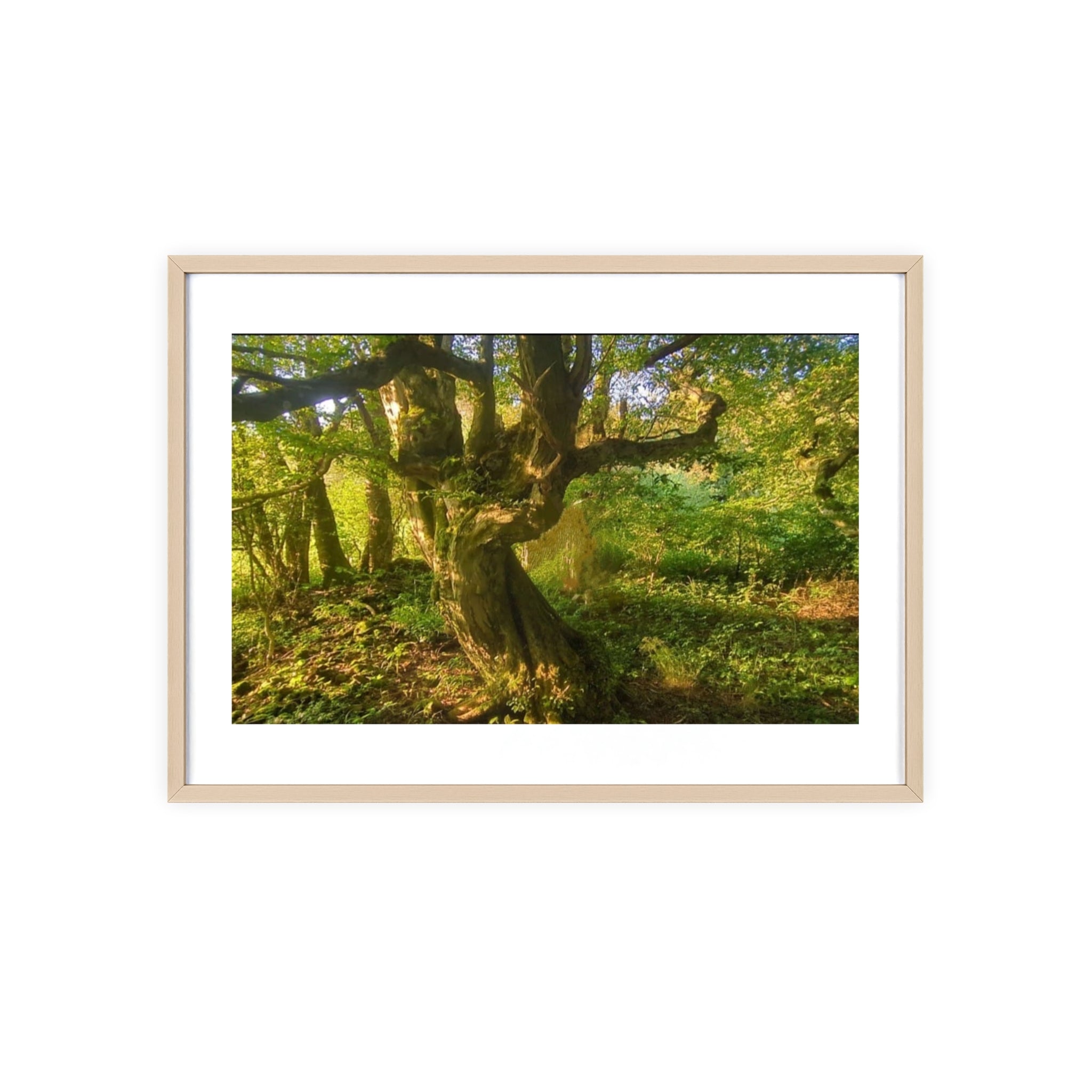 Poster mit Holzrahmen, Art.-Nr. NA 00105 P