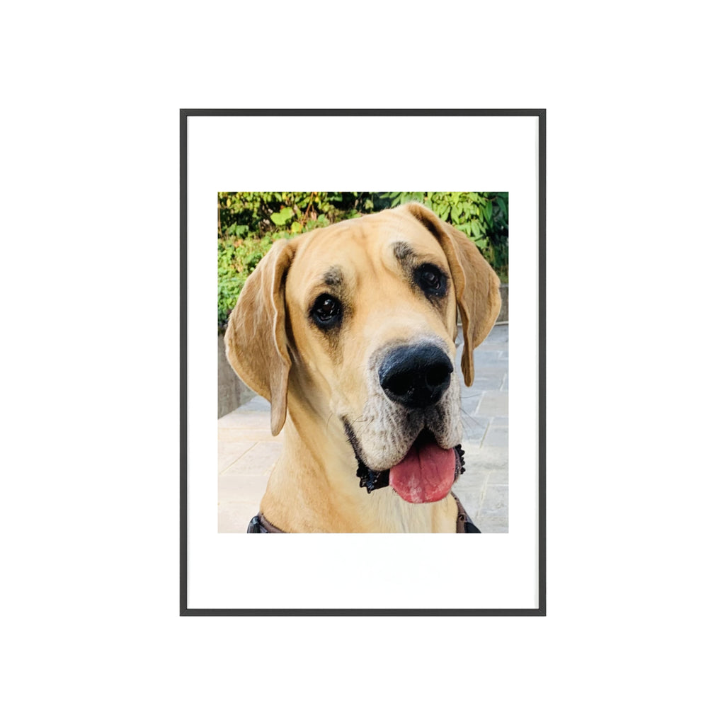 Poster mit Holzrahmen, Art.-Nr. T 00103 P