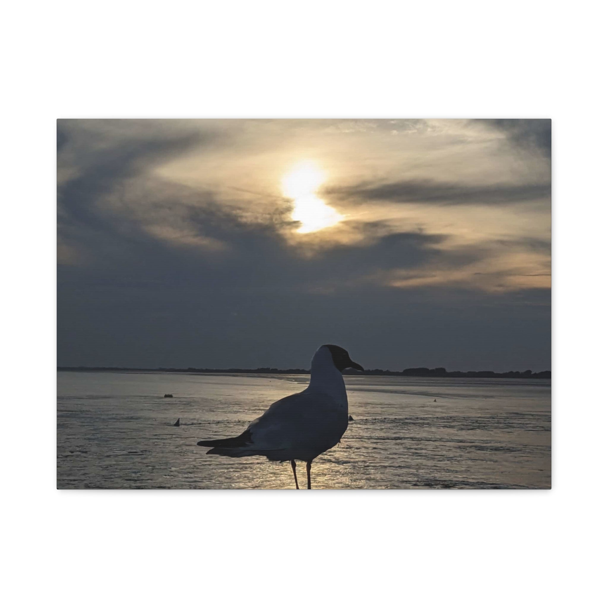 Wandbild Druck, Art.-Nr. T 00102 W