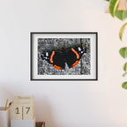 Poster mit Holzrahmen, Art.-Nr. T 00104 P