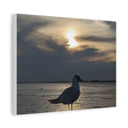 Wandbild Druck, Art.-Nr. T 00102 W