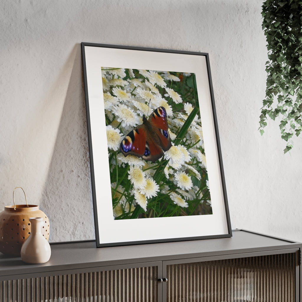 Posters with Wooden Frame