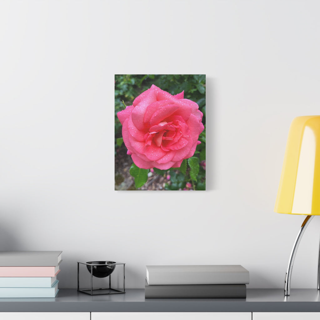 Wandbild Druck, Art.-Nr. NA 00145 W