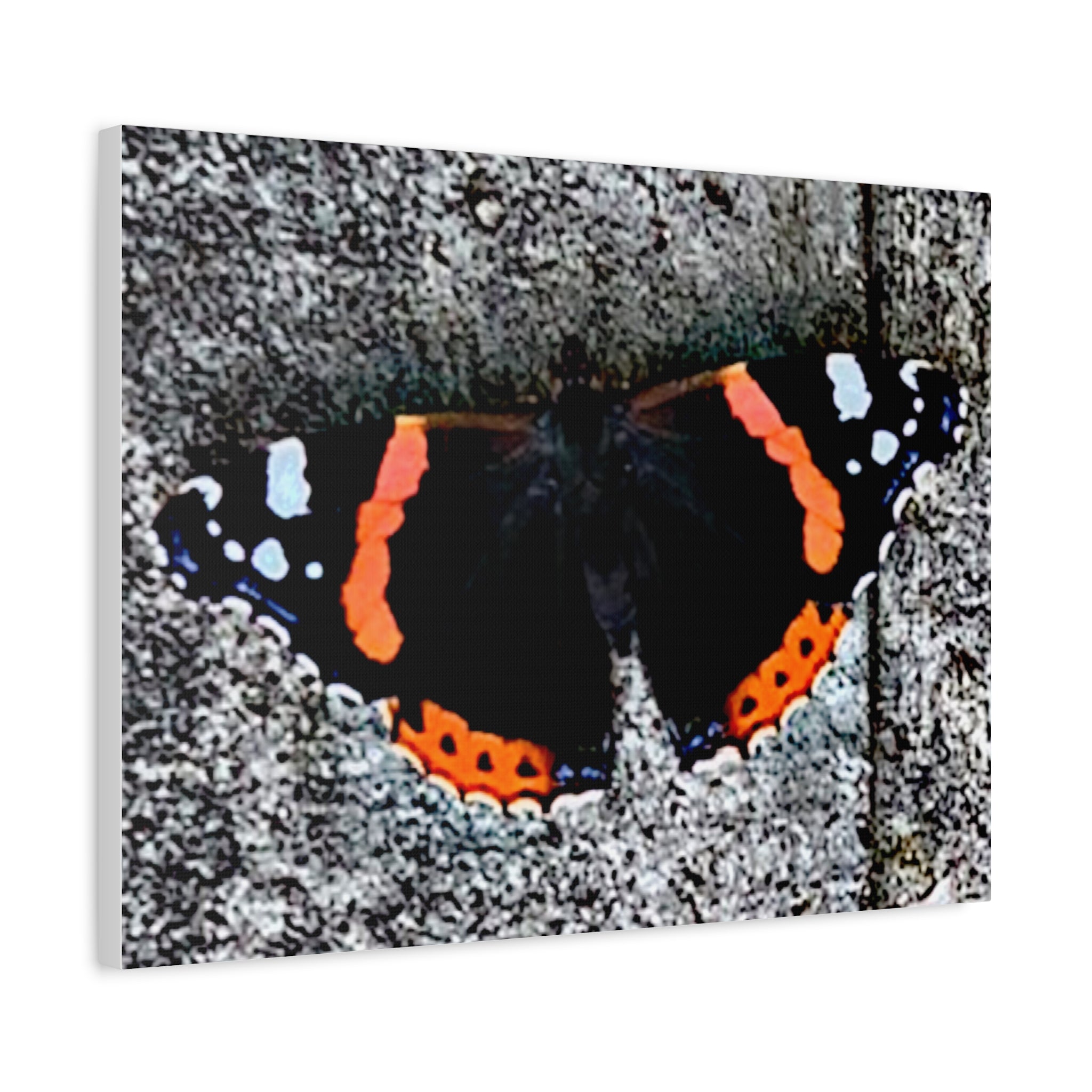 Wandbild Druck, Art.-Nr. T 00104 W