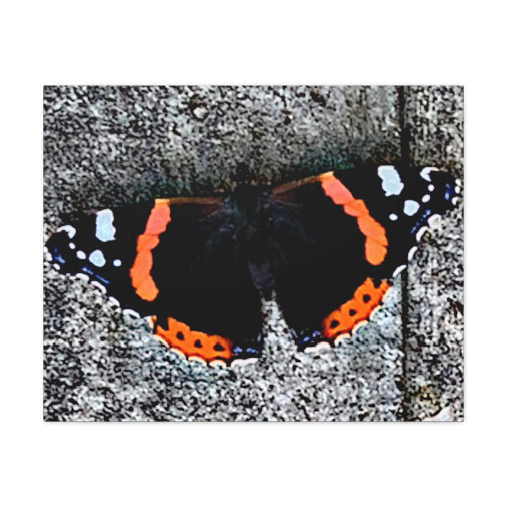 Wandbild Druck, Art.-Nr. T 00104 W