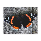 Wandbild Druck, Art.-Nr. T 00104 W