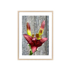Poster mit Holzrahmen, Art.-Nr. NA 00132 P