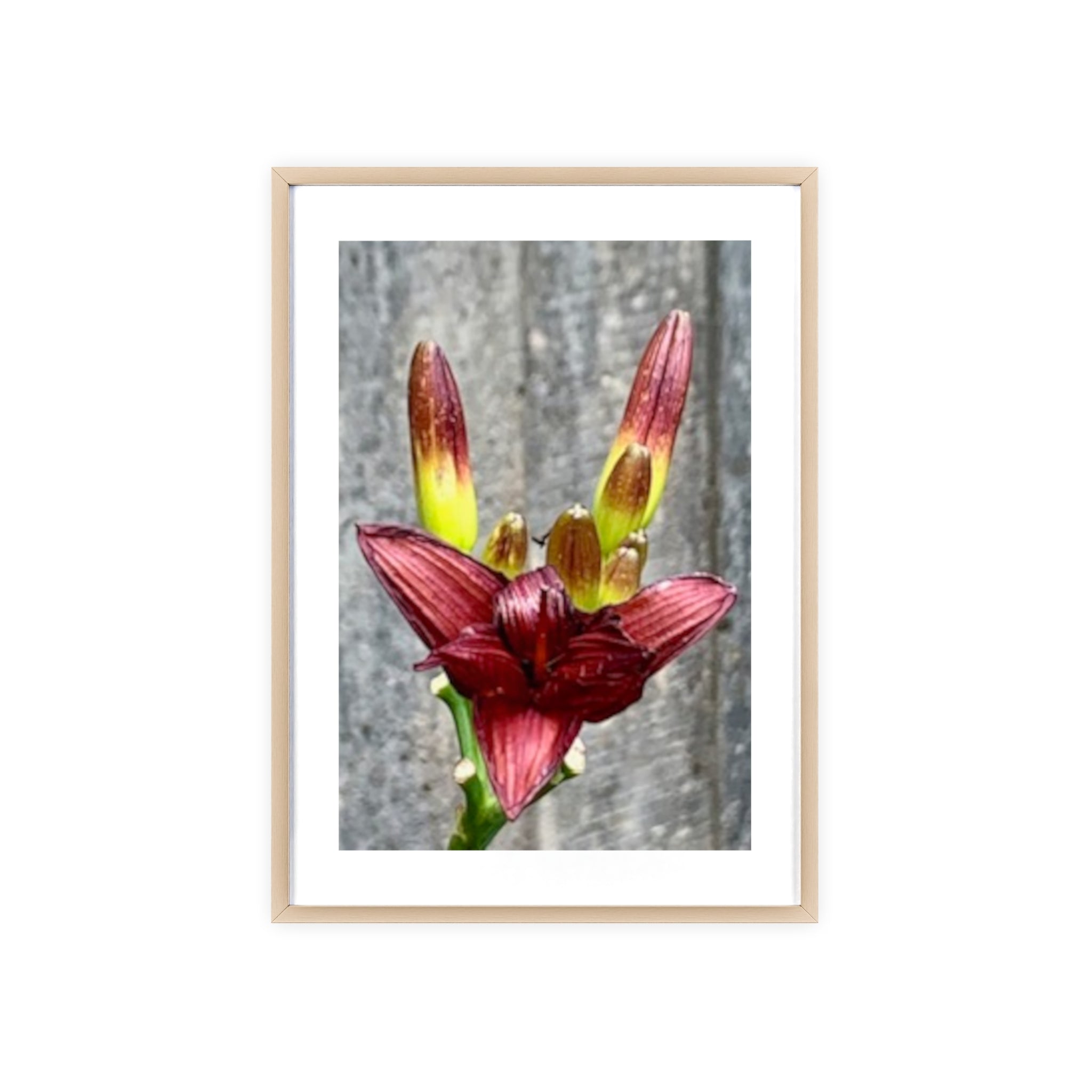 Poster mit Holzrahmen, Art.-Nr. NA 00132 P