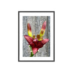 Poster mit Holzrahmen, Art.-Nr. NA 00132 P