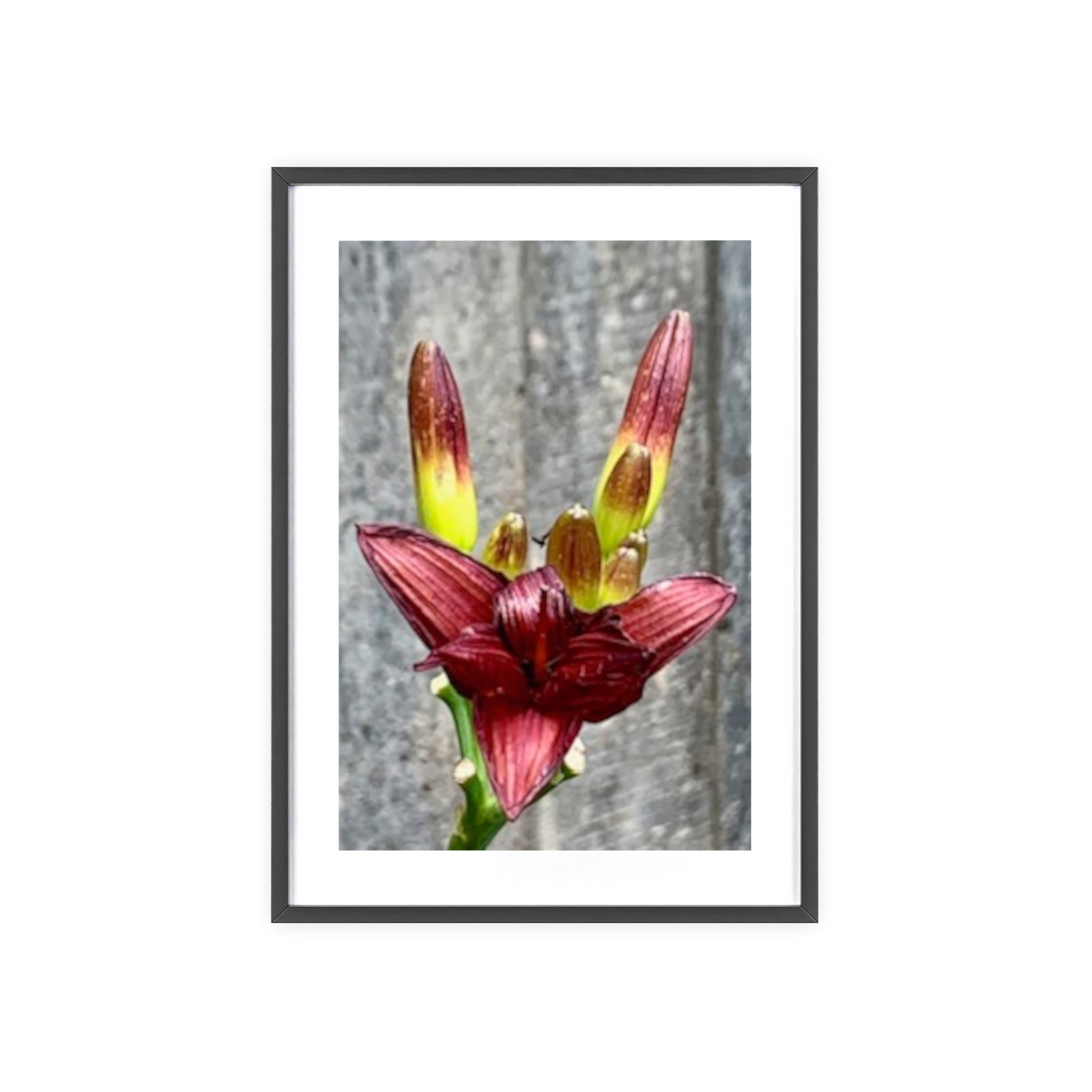 Poster mit Holzrahmen, Art.-Nr. NA 00132 P