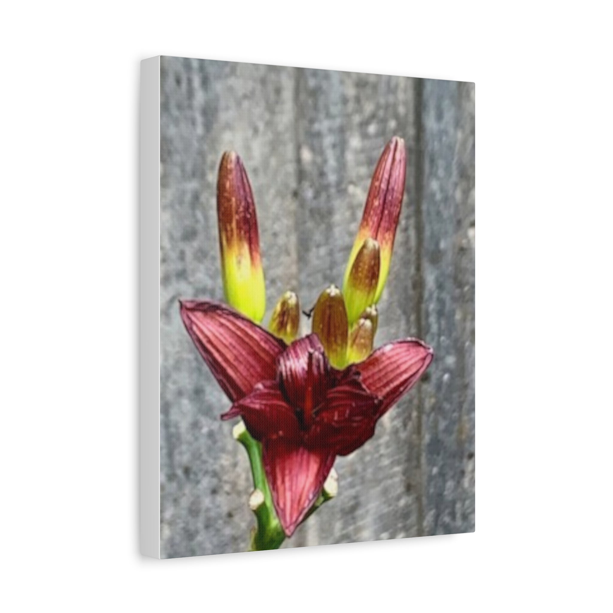 Wandbild Druck, Art.-Nr. NA 00132 W