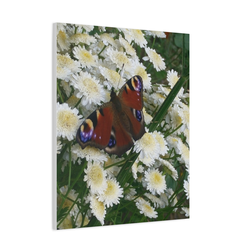 Wandbild Druck, Art.-Nr. T 00101 W