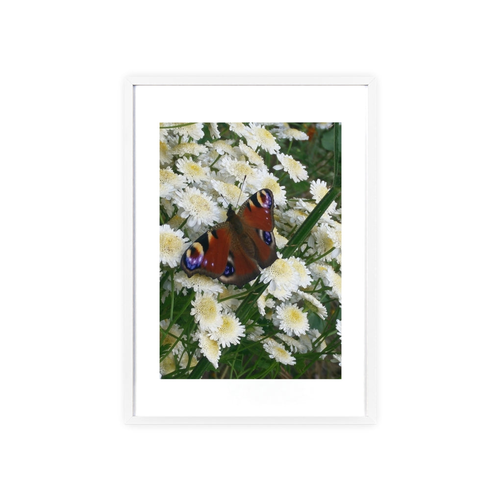 Posters with Wooden Frame