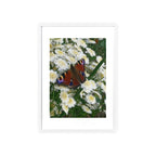 Posters with Wooden Frame