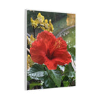 Wandbild Druck, Art.-Nr. NA 00107 W