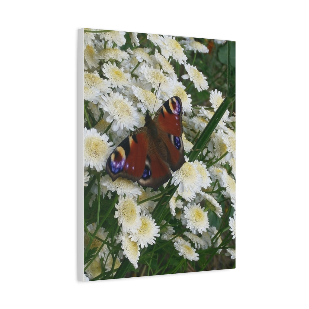 Wandbild Druck, Art.-Nr. T 00101 W