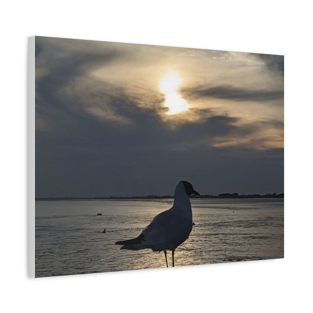 Wandbild Druck, Art.-Nr. T 00102 W