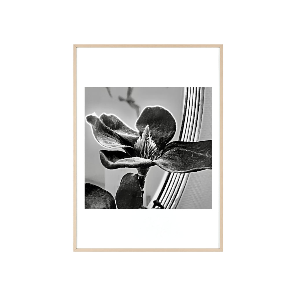 Poster mit Holzrahmen, Art.-Nr. AP 00113 P