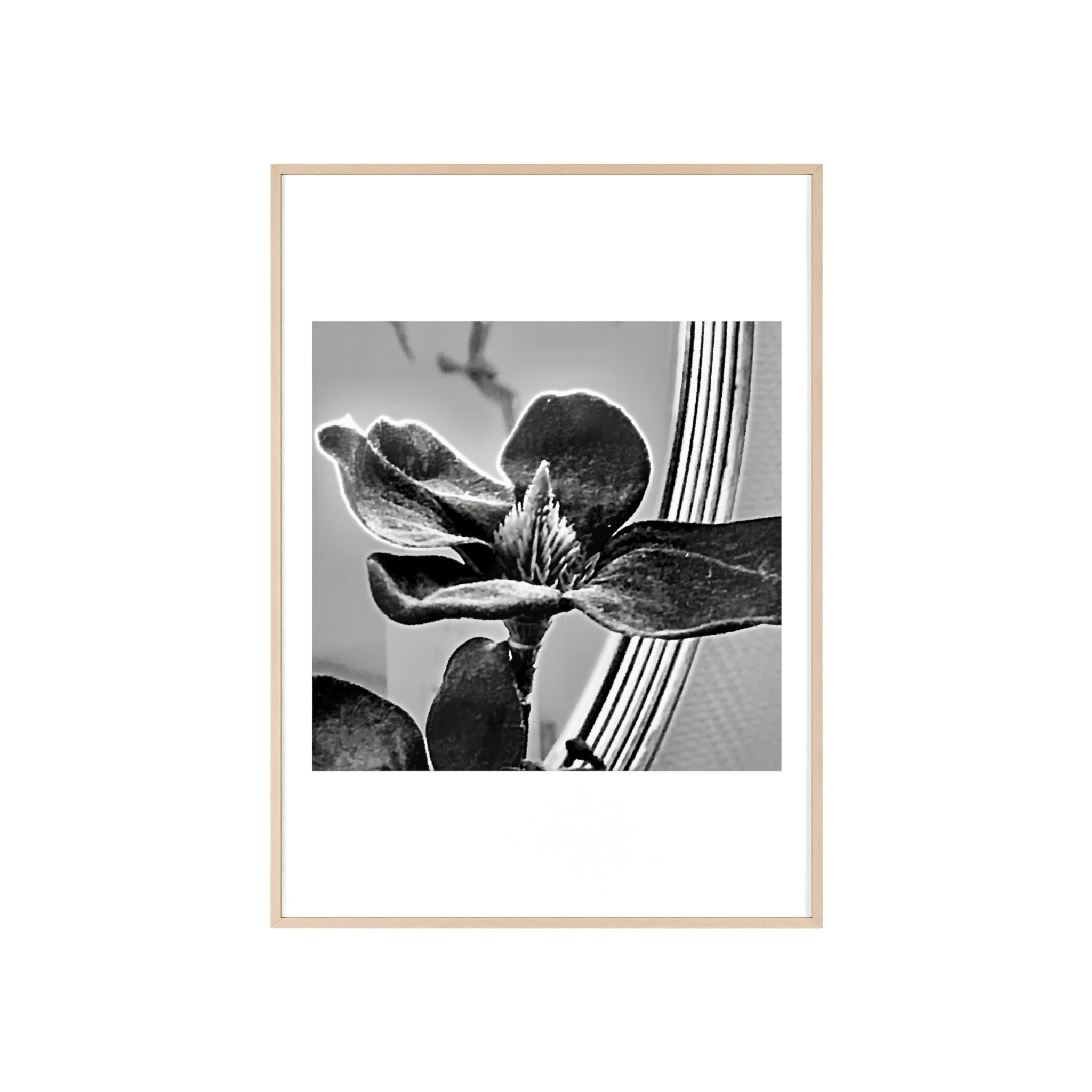 Poster mit Holzrahmen, Art.-Nr. AP 00113 P