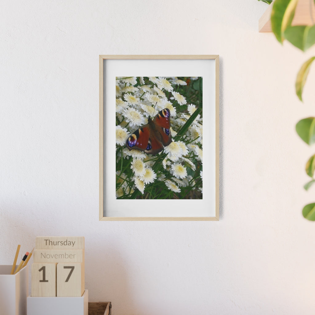 Posters with Wooden Frame