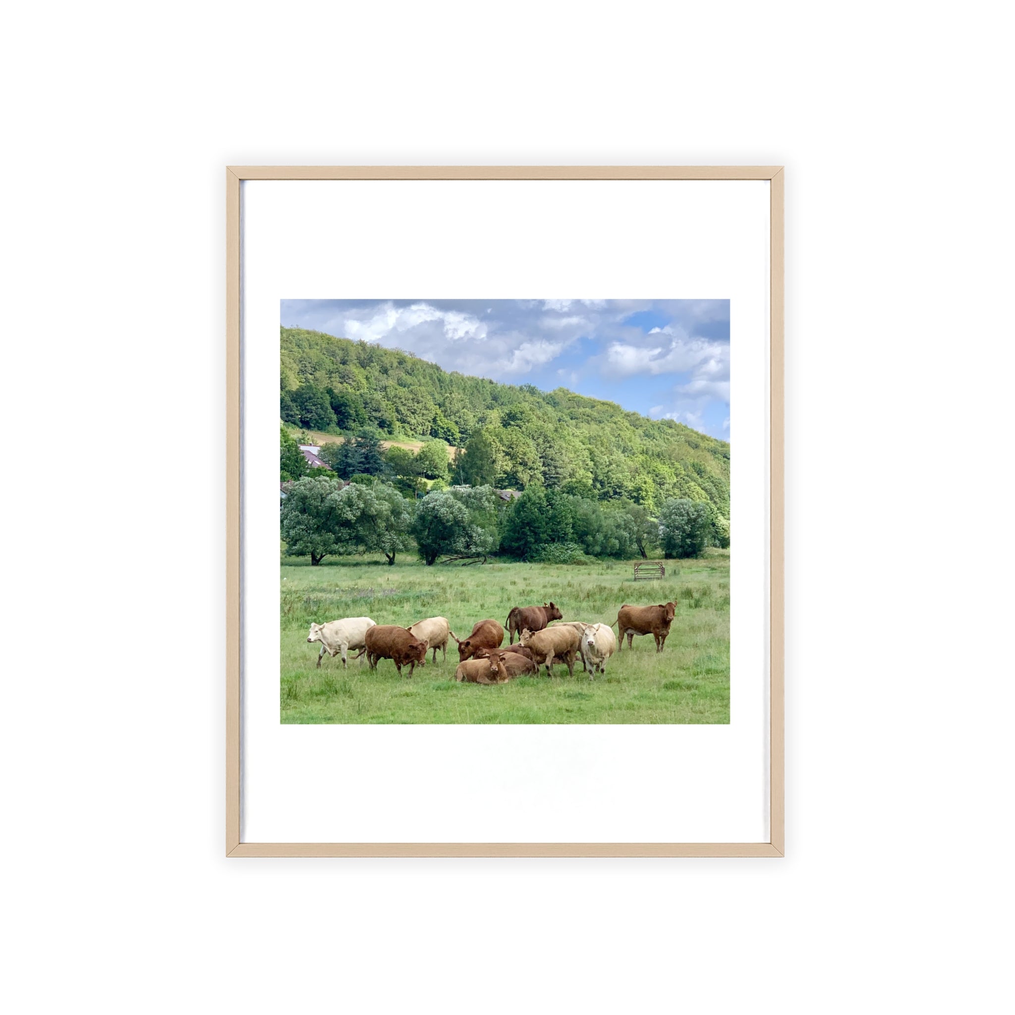 Poster mit Holzrahmen, Art.-Nr. T 00105 P