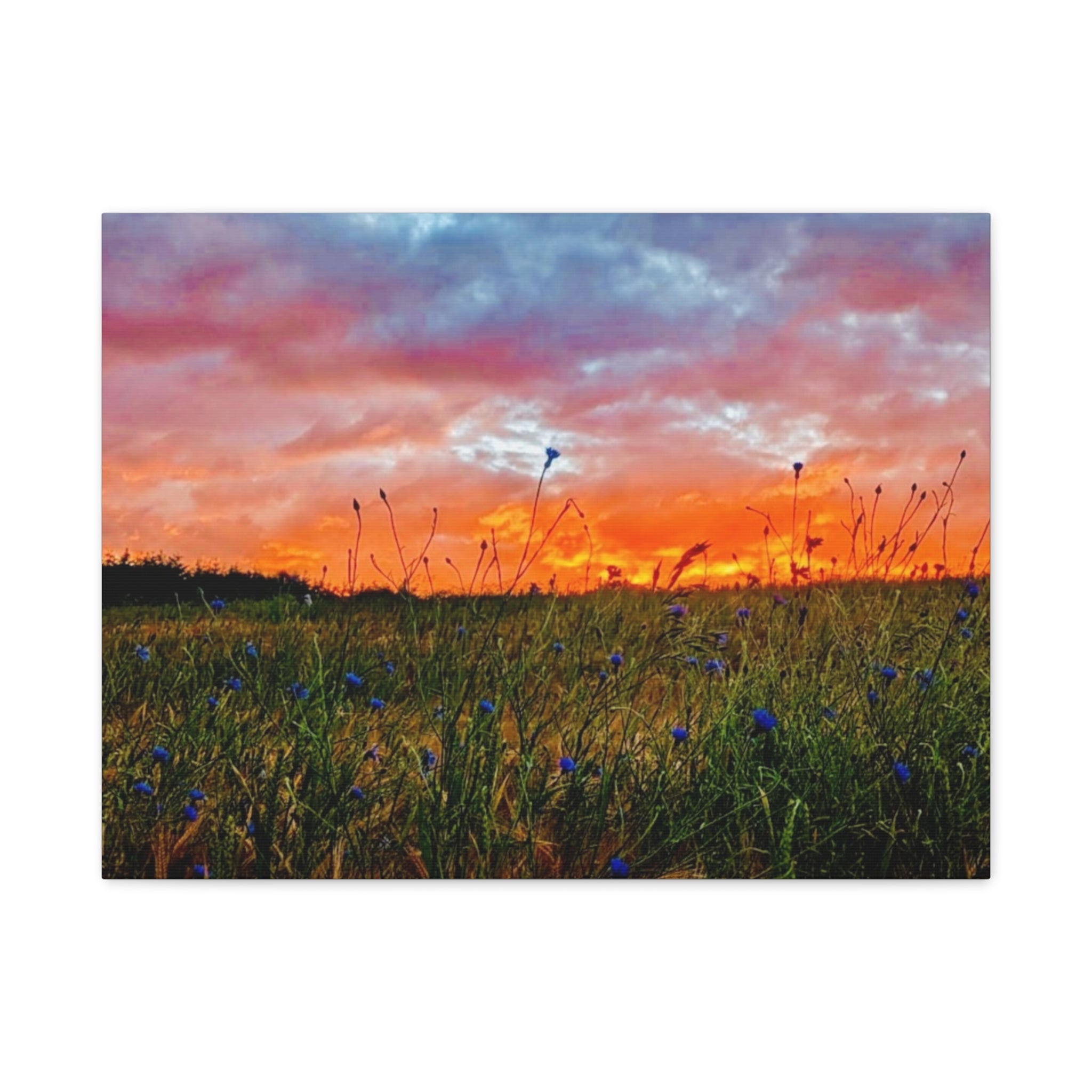 Wandbild Druck, Art.-Nr. NA 00139 W