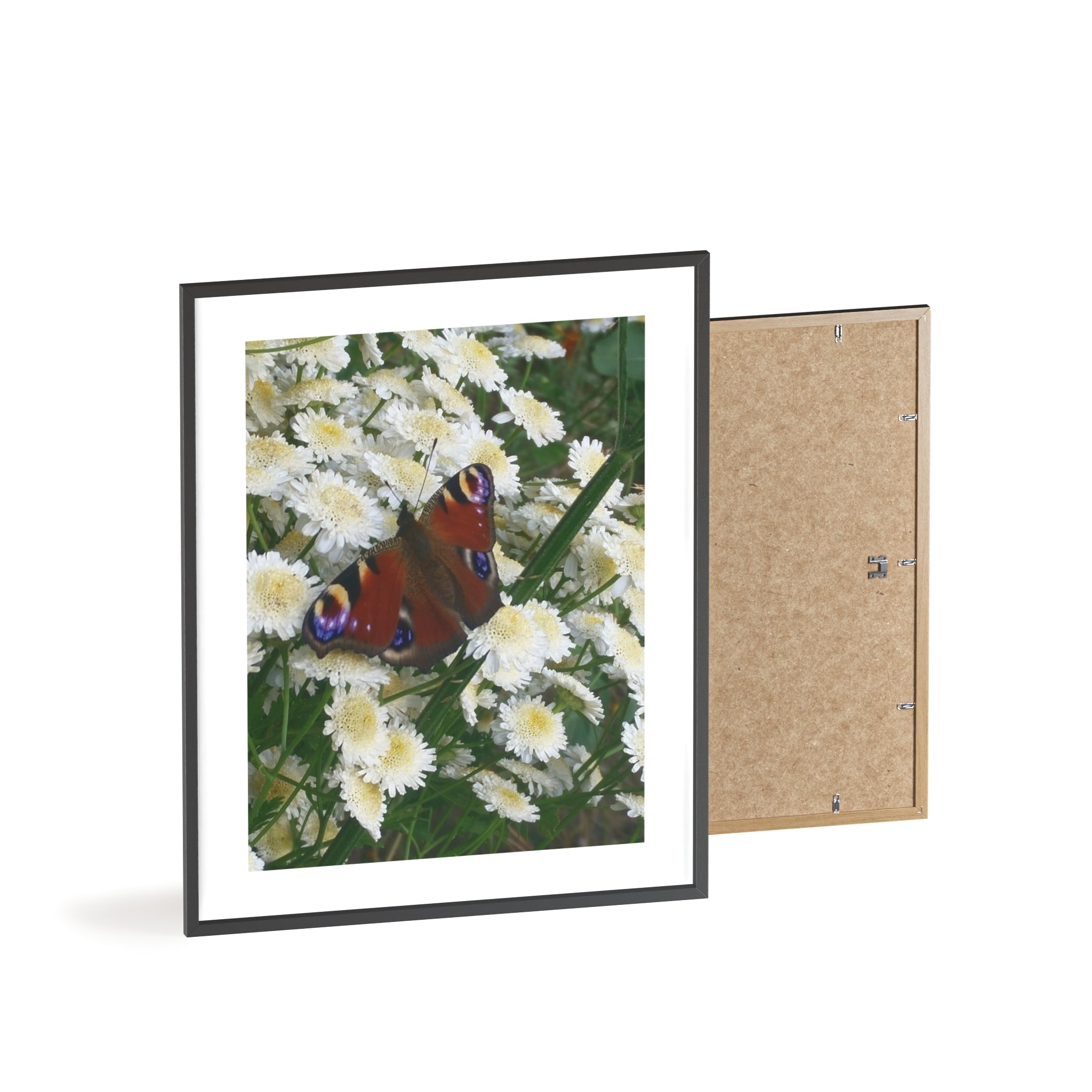 Posters with Wooden Frame