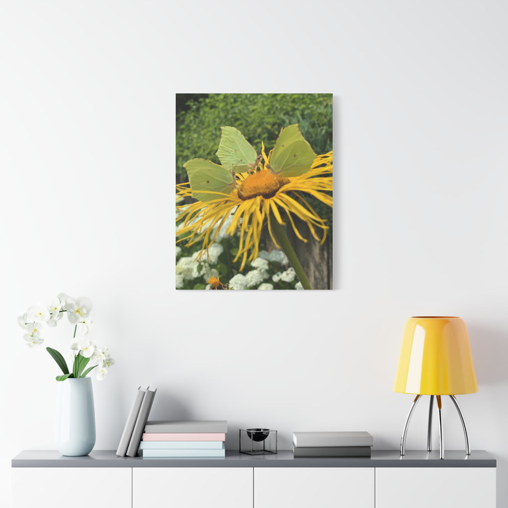 Wandbild Druck, Art.-Nr. NA 00137 W