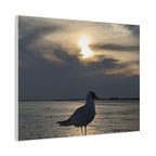 Wandbild Druck, Art.-Nr. T 00102 W