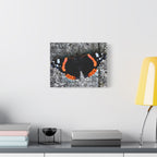 Wandbild Druck, Art.-Nr. T 00104 W