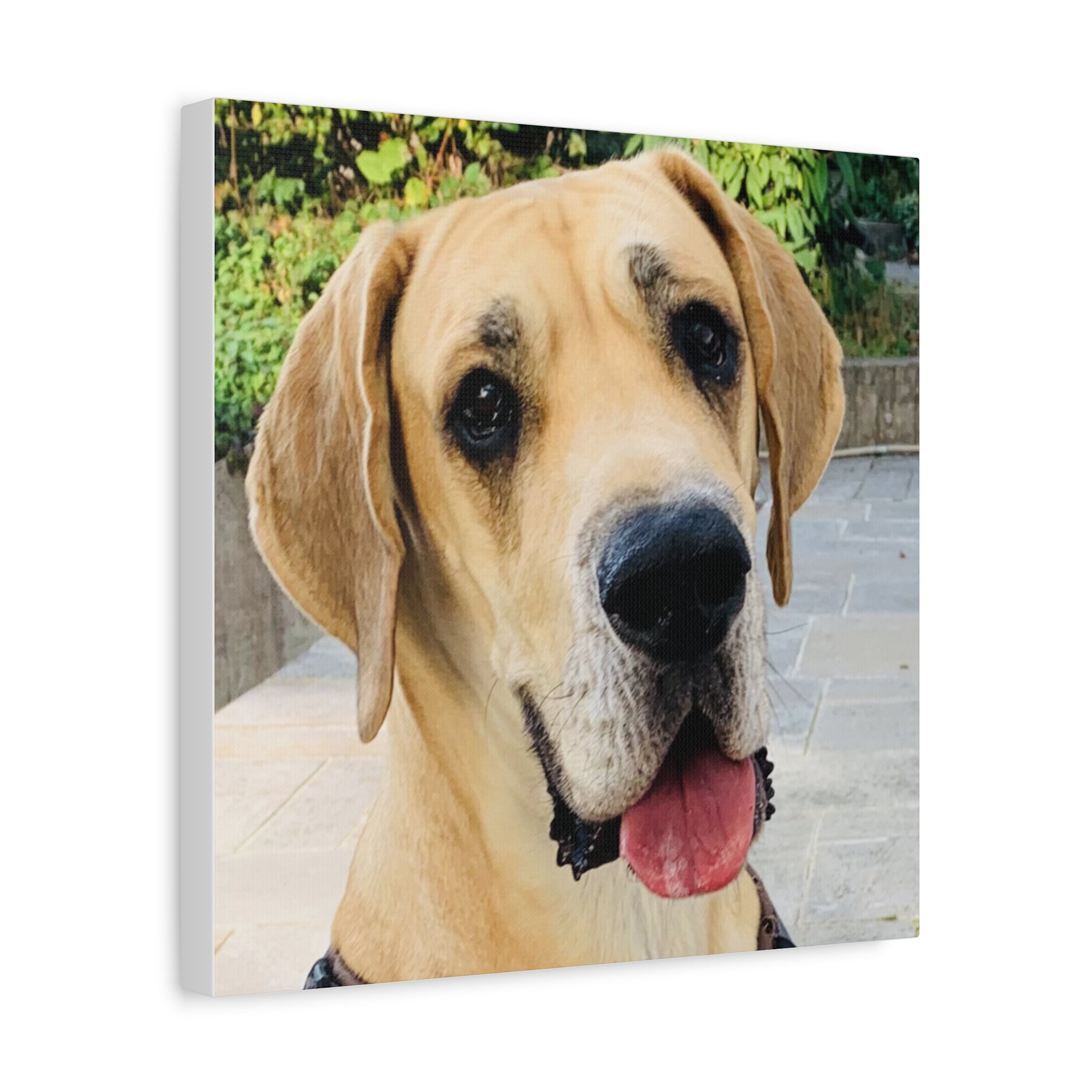 Wandbild Druck, Art.-Nr. T 00103 W