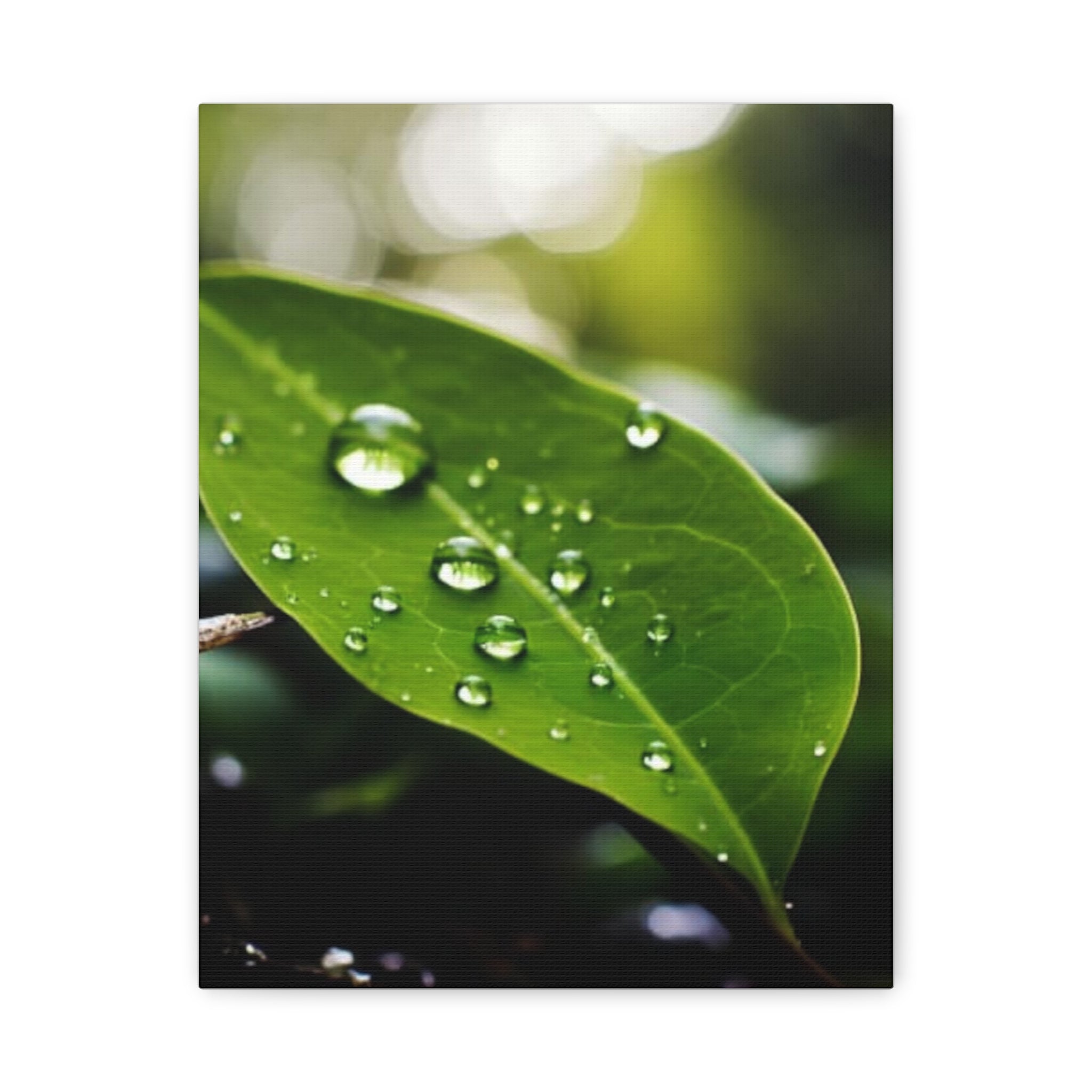 Wandbild Druck, Art.-Nr. NA 00115 W