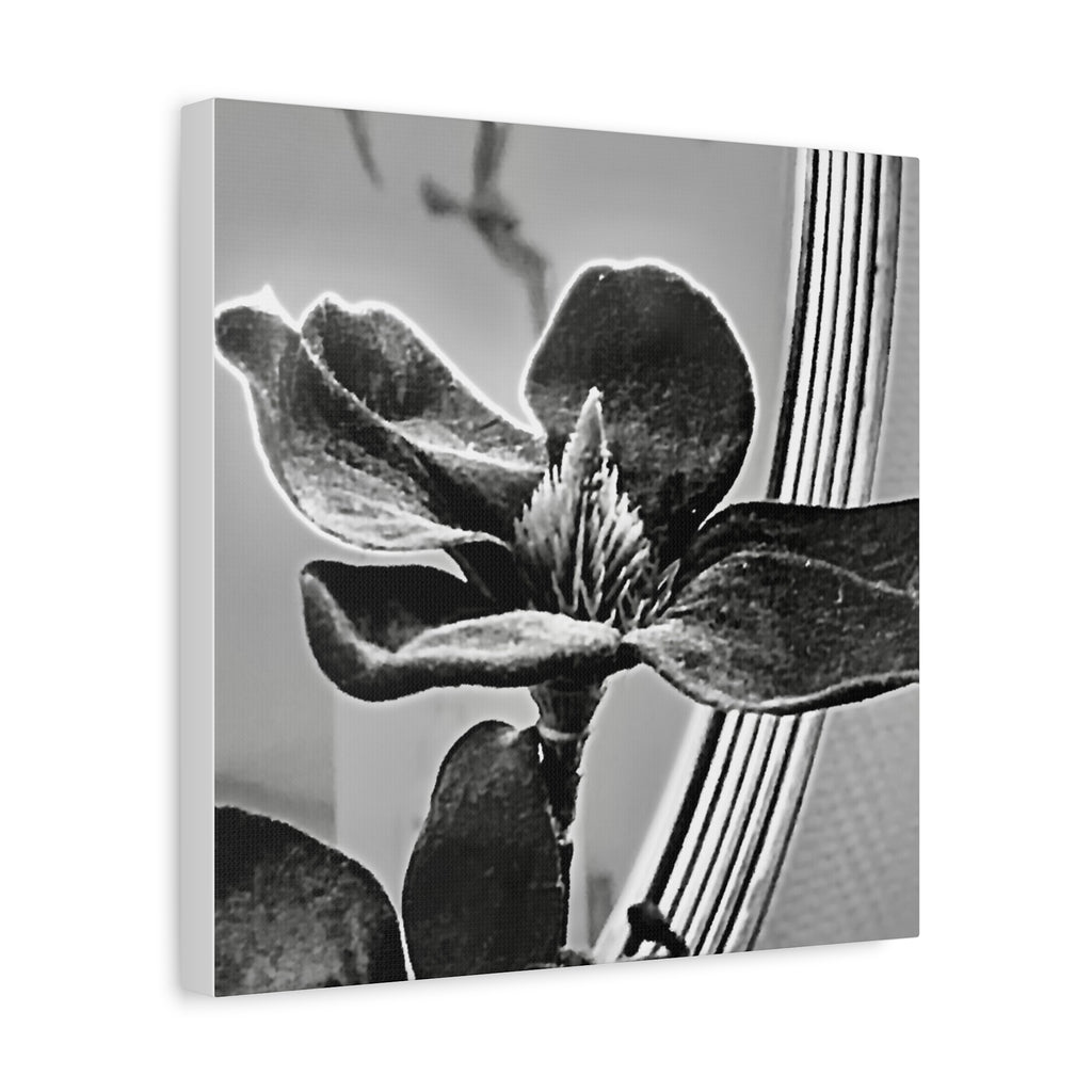 Wandbild Druck, Art.-Nr. AP 00113 W