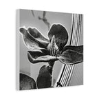 Wandbild Druck, Art.-Nr. AP 00113 W