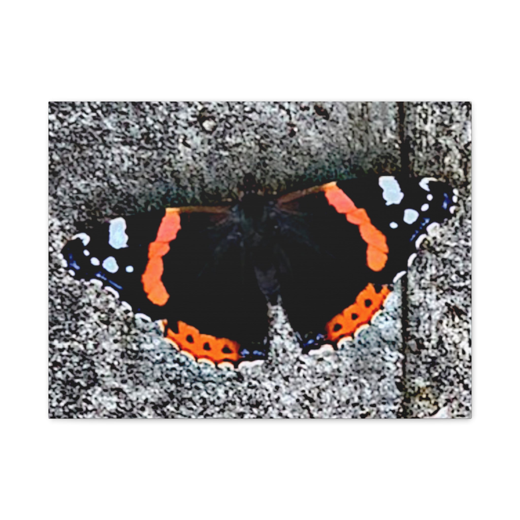 Wandbild Druck, Art.-Nr. T 00104 W